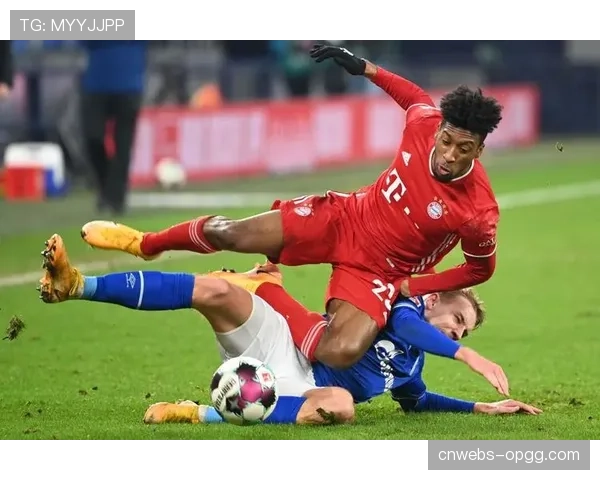 人物特写:时隔258天,沙尔克04门将费尔曼重伤后重返赛场 人物特写:时隔258天,沙尔克04门将费尔曼重伤后重返赛场